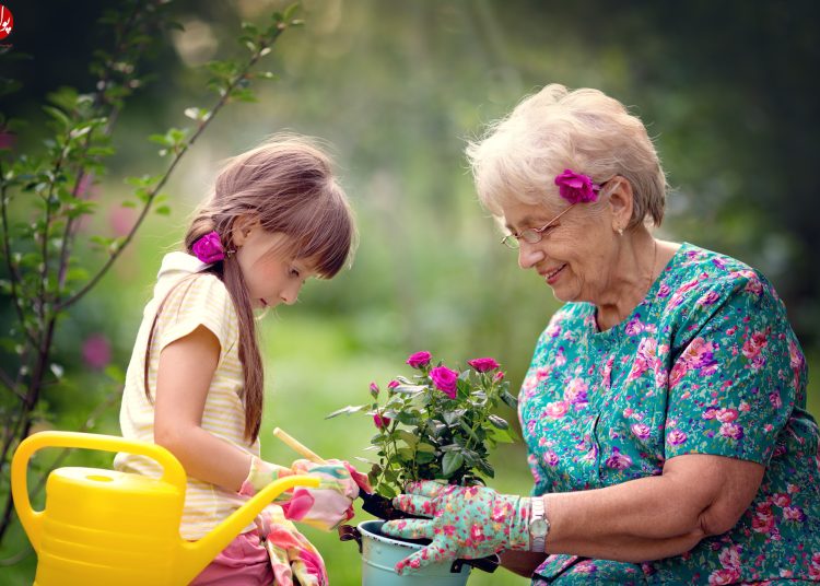 درس عاشقی در کلاس مادر بزرگ